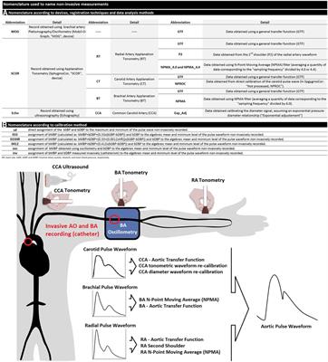 Central-to-peripheral blood pressure amplification: role of the recording site, technology, analysis approach, and calibration scheme in invasive and non-invasive data agreement